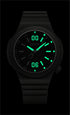 NIGHT OWL | Noir Vert